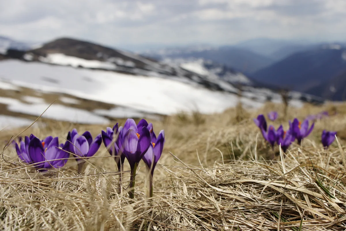 A Time for Rest and Renewal